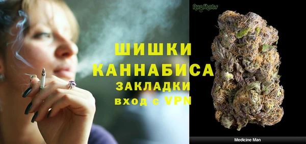 твердый Арсеньев