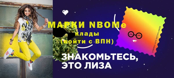 твердый Арсеньев