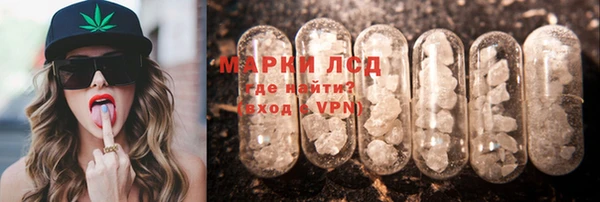 твердый Арсеньев